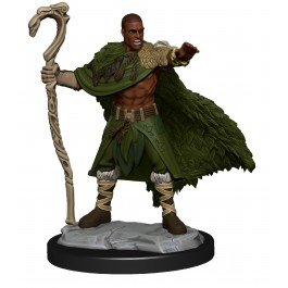 D&D Nolzur's Human Druid Male