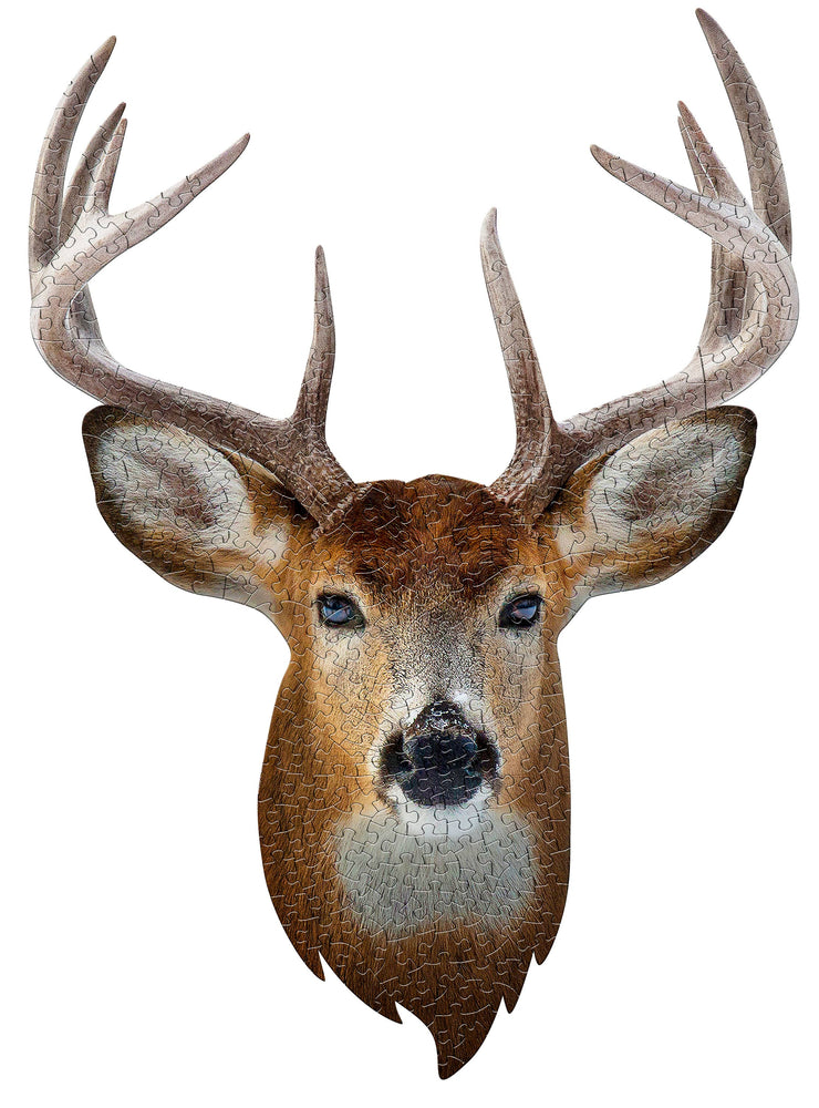 DISPLAY - Buck 300pc