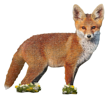 Lil Fox Display 100