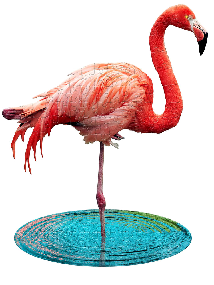 Lil Flamingo Display 100