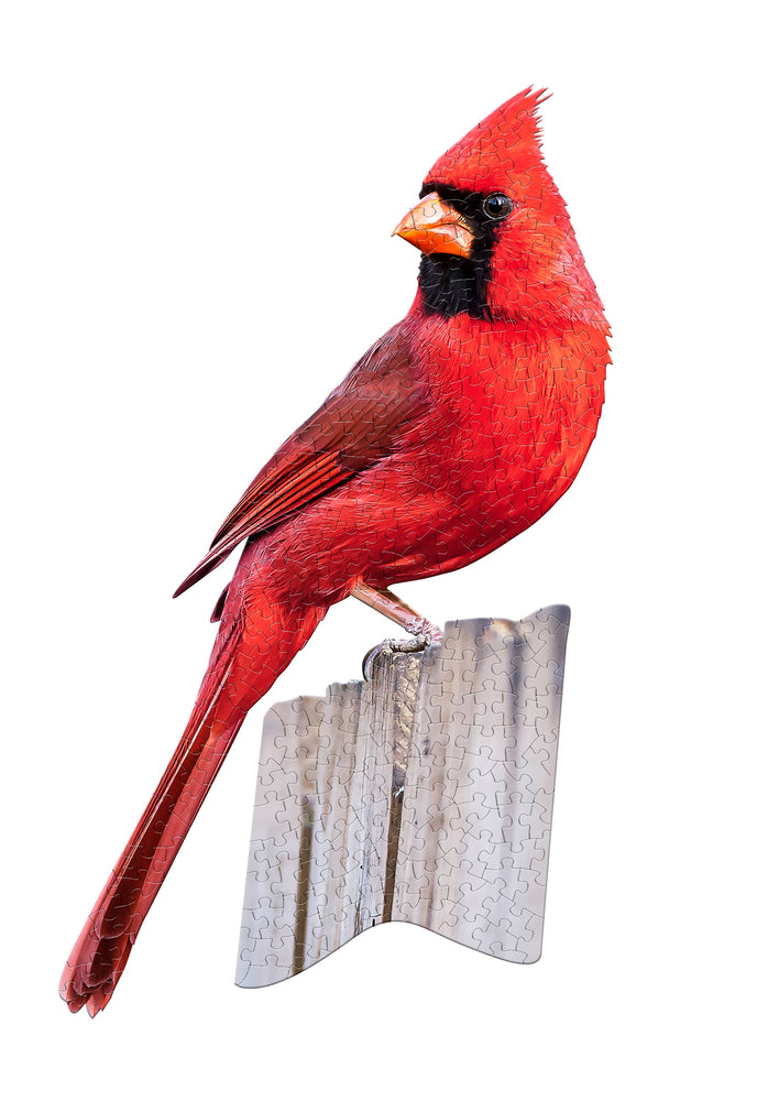 DISPLAY - Cardinal 300