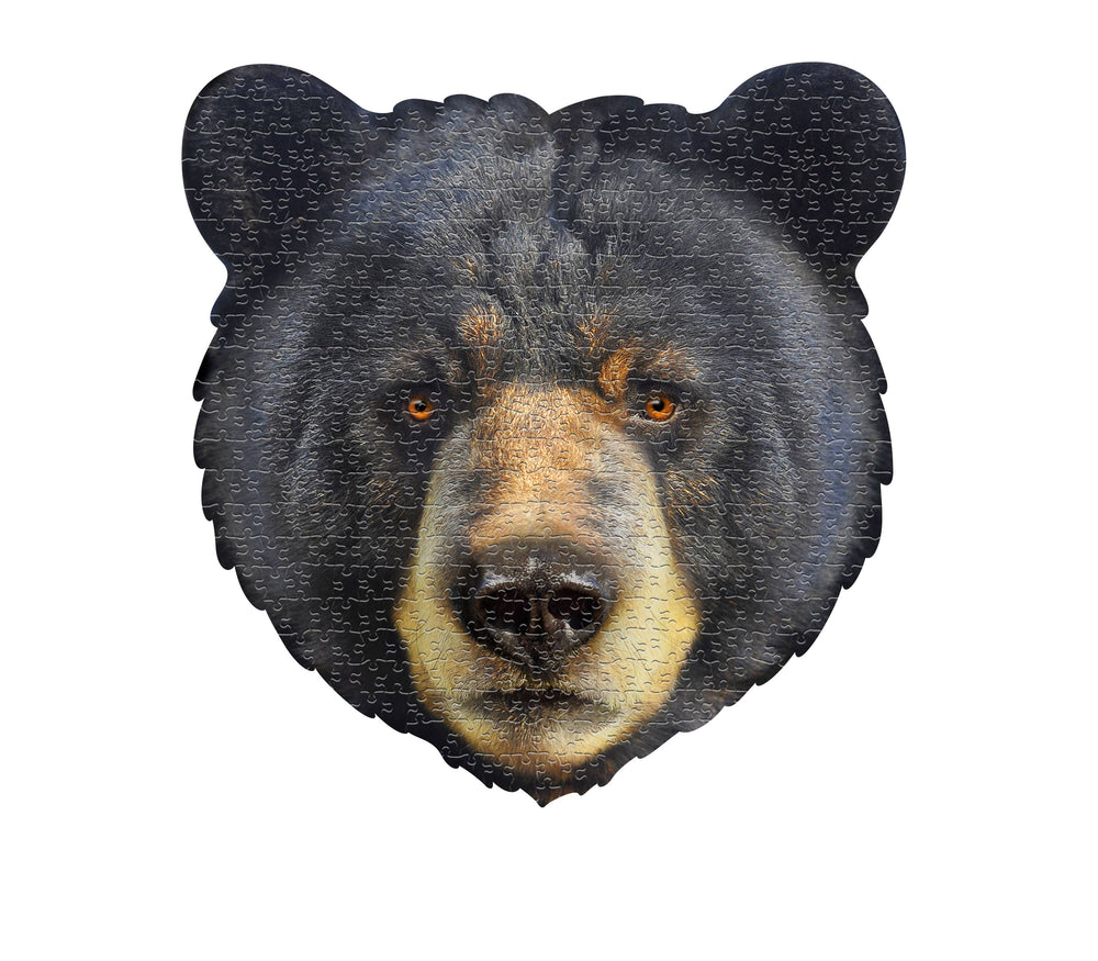 DISPLAY Bear-300pc