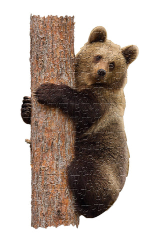 Lil Bear Display 100