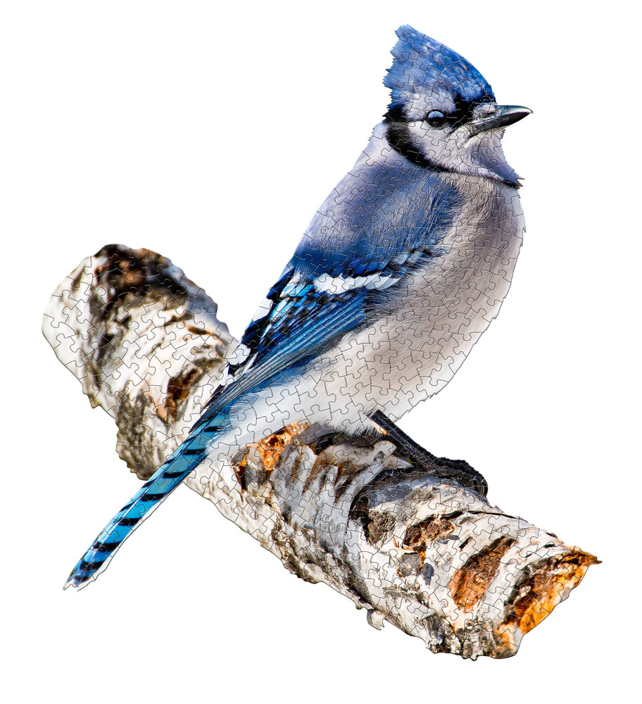 Madd Capp Puzzle - I AM Blue Jay (300)