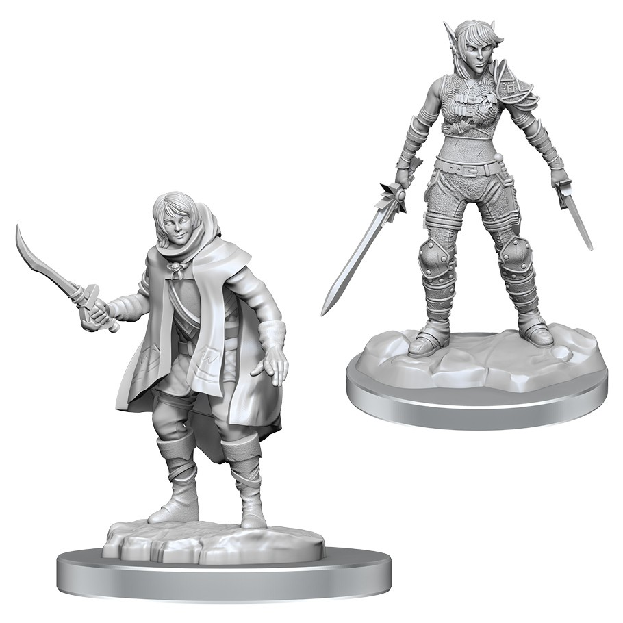 D&D Nolzur's Miniature: Elf Rogue & Half-Elf Protege